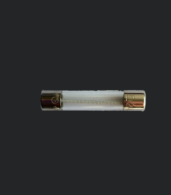 10 安培玻璃保險絲，適用於 Kongsberg